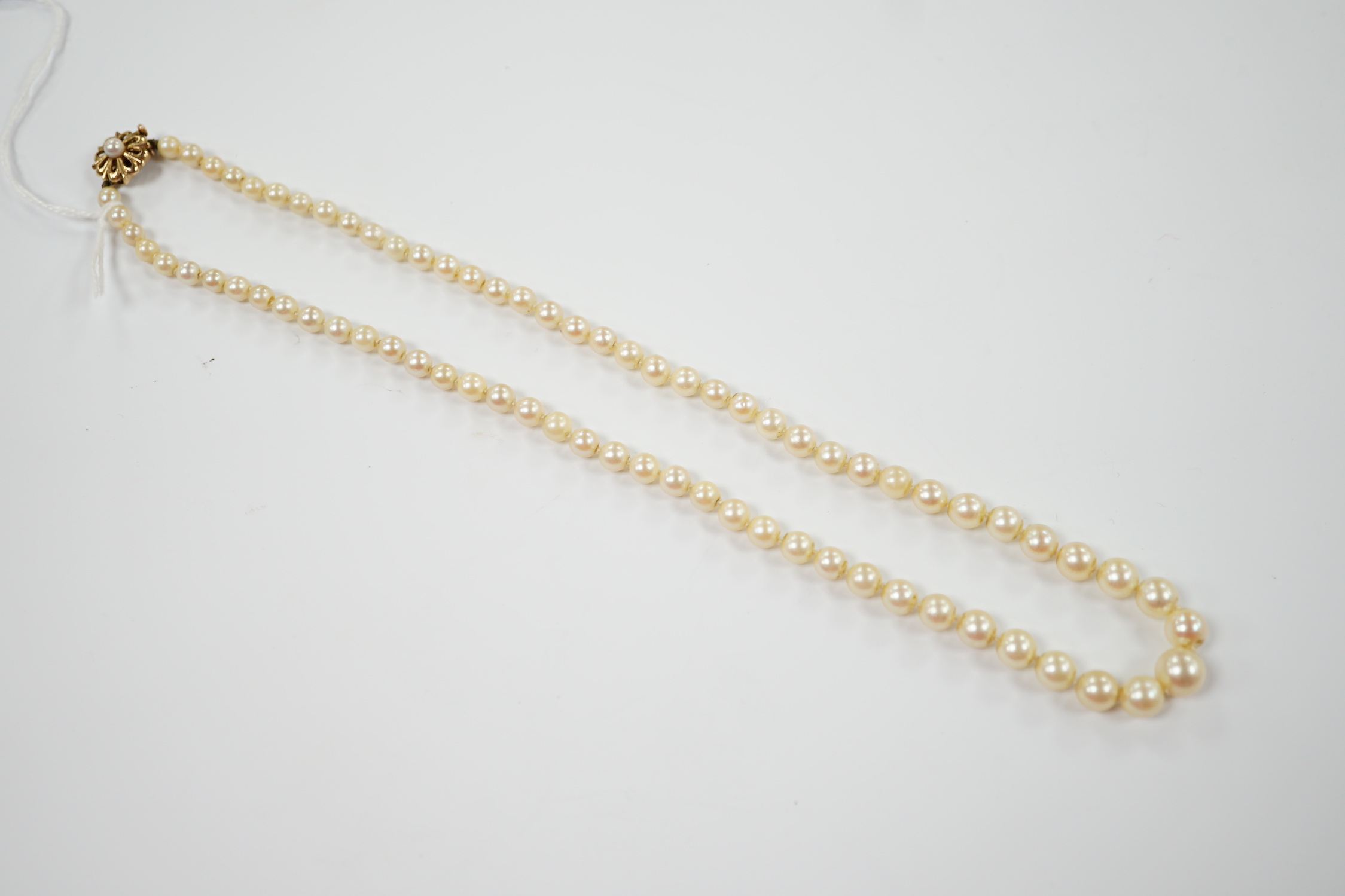 A single strand graduated cultured pearl necklace, with cultured pearl set yellow metal clasp, 42cm.